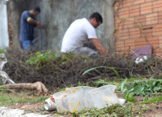 Secretaria da Saúde de Palmas realiza ingresso forçado e mantém ações preventivas de combate ao Aedes Aegypti