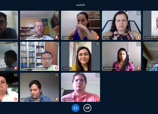 Covid 19: membros de Câmara Técnica se reúnem e definem grupos de trabalho para analisar dados e propor soluções