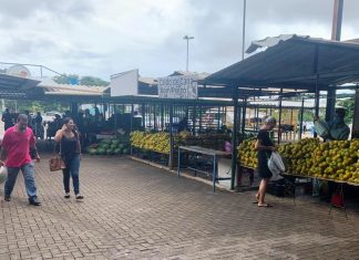 Após vistoria em feira popular de Palmas, Defensoria e Prefeitura se reúnem em videoconferência