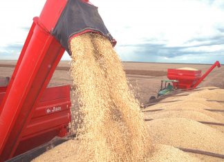 Exportações no primeiro trimestre de produtos agropecuários superam a marca dos 34% no Tocantins