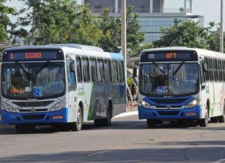 Defensoria envia Recomendação à Prefeitura de Palmas sobre transporte público municipal