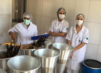 Primeiro abatedouro de aves caipiras melhoradas é aberto no Tocantins com selo de inspeção estadual