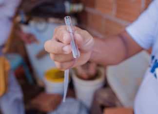 Agentes de endemias retomam ações de combate ao Aedes em Palmas