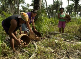 Governo do Tocantins entrega cestas básicas para comunidades tradicionais e assentamentos do Tocantins