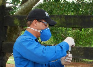 Prazo de vacinação contra brucelose no primeiro semestre de 2020 encerra no próximo dia 30