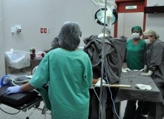 Hospital Geral de Palmas zera a fila de cirurgias oncológicas em urologia e ginecologia