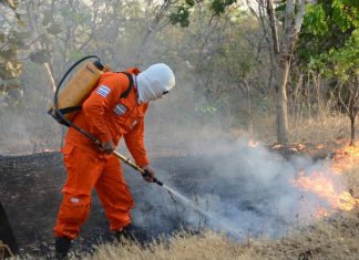 Tempo seco intensifica queimadas e população deve redobrar cuidados com problemas respiratórios