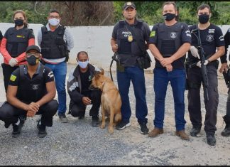 Polícia Civil prende em Arraias autor de homicídio ocorrido em Campos Belos – GO