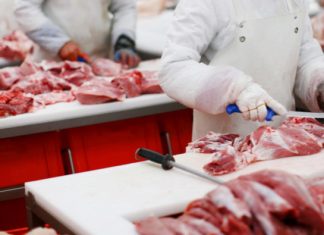 MPT pede suspensão das atividades de frigorífico em Araguaína por surto de coronavírus