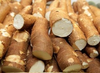 Secretaria mobiliza produtores a atualizar cadastro das associações na plataforma Agrotins 100% Digital