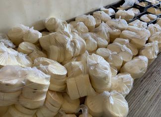 Adapec apreende três toneladas de queijos clandestinos impróprios para o consumo