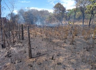 Denunciado por causar incêndio florestal vai parar na Delegacia, por crime ambiental em Paraíso do Tocantins