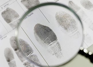 Polícia Civil identifica corpo encontrado em área de mata na região norte de Palmas