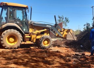 Unidade Demonstrativa de Horticultura implantada pela Prefeitura de Palmas aposta em pacote tecnológico para produção de verduras e legumes
