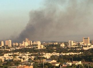 Bombeiros passam o dia combatendo incêndios na área urbana de Palmas