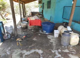 Queijaria clandestina é interditada no norte do Tocantins