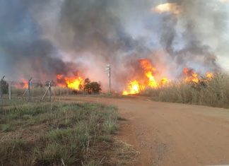 Fogo destrói área de 10 campos de futebol próximo do Aeroporto de Palmas