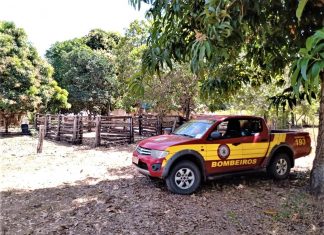 Ação de bombeiros militares ajuda na prevenção de queimadas no Jalapão
