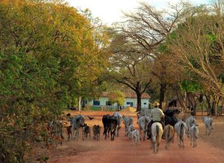 VII Encontro de implantação do CAR acontecerá de forma virtual