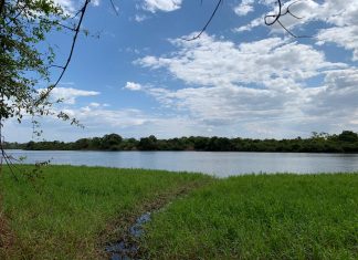 Em Caseara, homem é preso pela Polícia Civil após barco afundar e vitimar criança de três anos