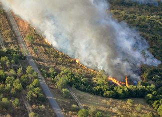 Governador Carlesse solicita ao presidente Bolsonaro auxílio das Forças Armadas para o combate de incêndios florestais no TO