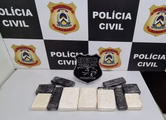 Polícia Civil do Tocantins prende em Gurupi homem com 11 tabletes de cocaína