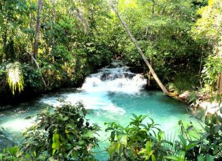 Mateiros e Ponte Alta, na região do Jalapão, decidem reabrir para o turismo a partir de outubro