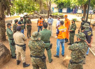Fiscalização Integrada Contra as Queimadas percorre áreas nos arredores de Palmas, Taquaruçu e Parque Estadual do Lajeado
