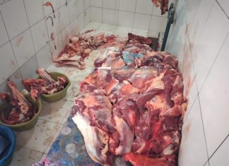 Ação conjunta da Adapec e instituições de Itacajá apreende carne clandestina