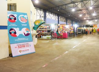 Sem aglomerações, Feira do Bosque retoma atividades na Feira da 304 Sul