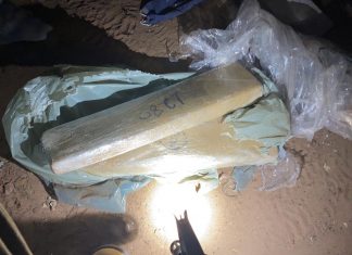 Em Araguaína, Denarc apreende 2,6 quilos de maconha durante operação