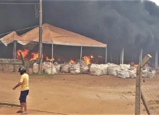 Fogo atinge cooperativa de reciclagem e área agrícola em Gurupi