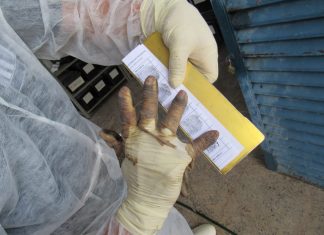 Polícia Civil confirma a identificação de três corpos em estado avançado de decomposição