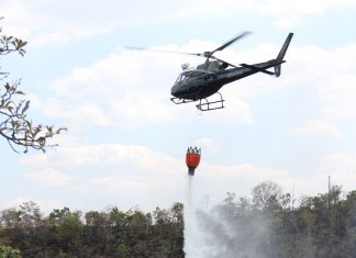 Focos de incêndios florestais aumentam em Palmas e Defesa Civil Estadual destaca que população tem papel central na solução do problema