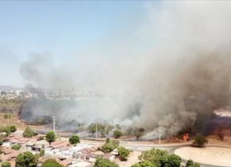 Queimada atinge área de parque na região norte de Palmas e prejudica fornecimento de luz
