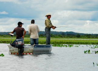 Tocantins fixa início da Piracema para o próximo dia 1º de novembro