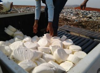 Adapec apreende cerca de 370kg de queijo impróprios para o consumo durante fiscalização de veículos em Palmas