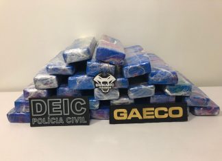 Em Gurupi, Polícia Civil apreende 30 kg de maconha e prende um homem por tráfico interestadual de drogas