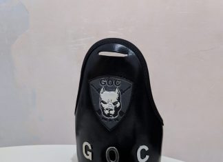 Polícias apreendem arma de fogo e munições em posse de suspeito de assalto em Guaraí durante operação Tamoios