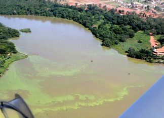 Naturatins autua BRK Ambiental em mais de 8 milhões de reais por poluição ambiental