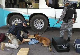 Cão farejador da Polícia Militar localiza cerca de 15 kg de entorpecentes em Operação Conjunta com a PRF em Guaraí