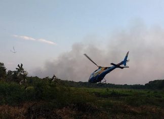 Incêndio volta a avançar no Parque Estadual do Cantão 15 dias após ter sido controlado