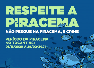 Tocantins lança campanha de sensibilização do período de defeso da Piracema 2020/2021