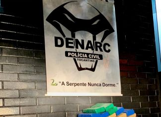 Operação Collapsus da Divisão de Narcóticos da Polícia Civil do Tocantins e do Gaeco apreende 150 quilos de maconha em Palmas