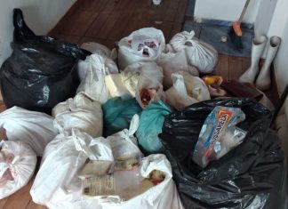 Adapec e Polícia Civil desarticulam comércio clandestino de produtos de origem animal em Araguaína