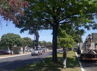 Luzes de Natal são acesas nesta quarta-feira, 02, nos Aurenys I e III