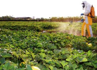 Adapec publica novas regras sobre aplicação de agrotóxicos