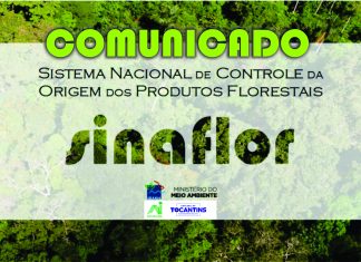 Tocantins passa a analisar somente processo de autorização de exploração florestal com projeto cadastrado no Sinaflor