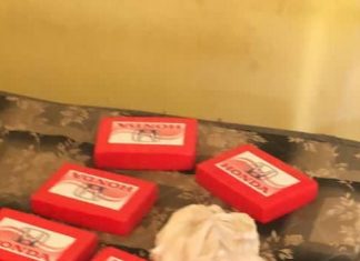 Em mais uma etapa da operação Collapsus, Polícia Civil apreende 9 kg de cocaína e prende dois homens na região norte de Palmas