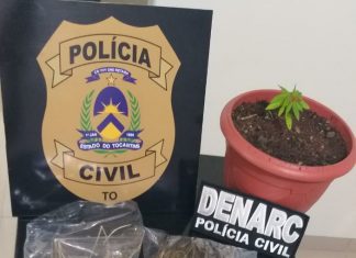 Em Araguaína, Polícia Civil desarticula ponto de venda de drogas e prende traficante